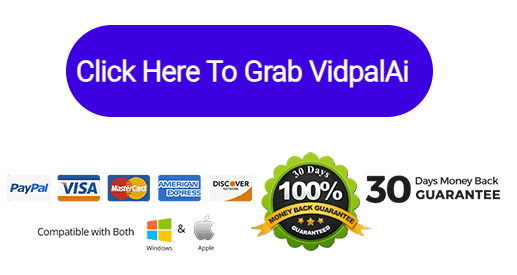 VidpaidAi