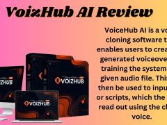 VoizHub AI