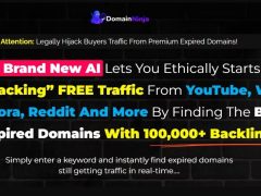 Domain Ninja