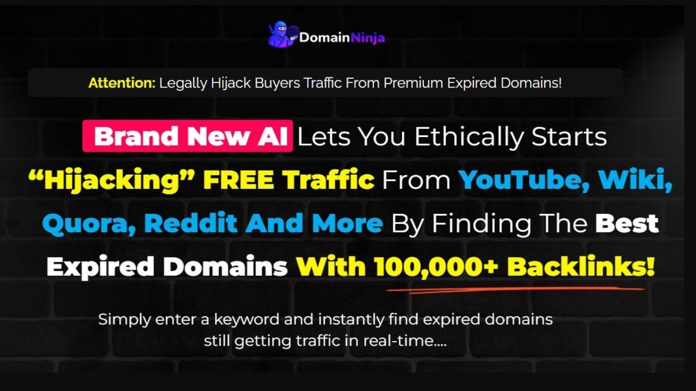 Domain Ninja
